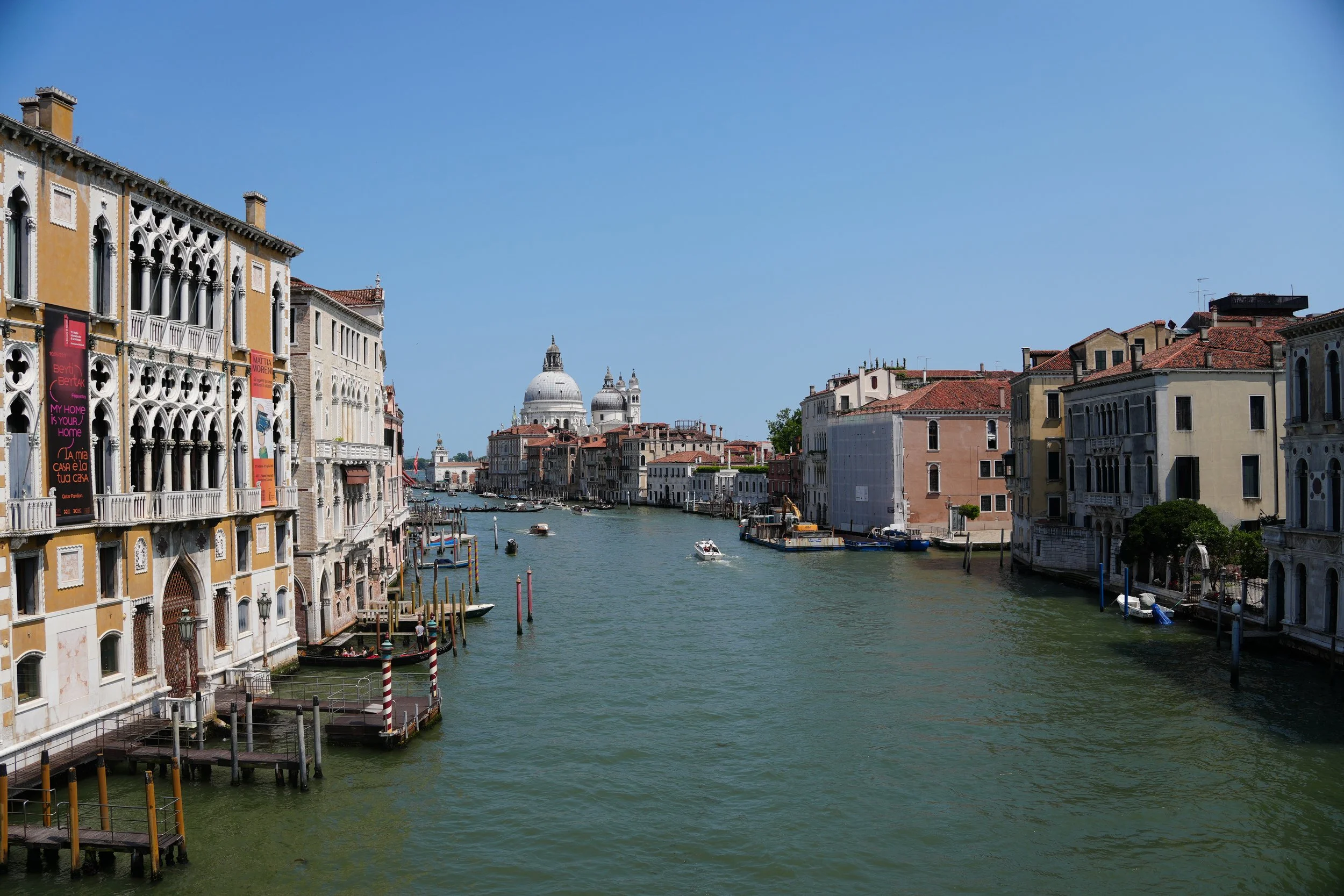 DSC05613.jpg