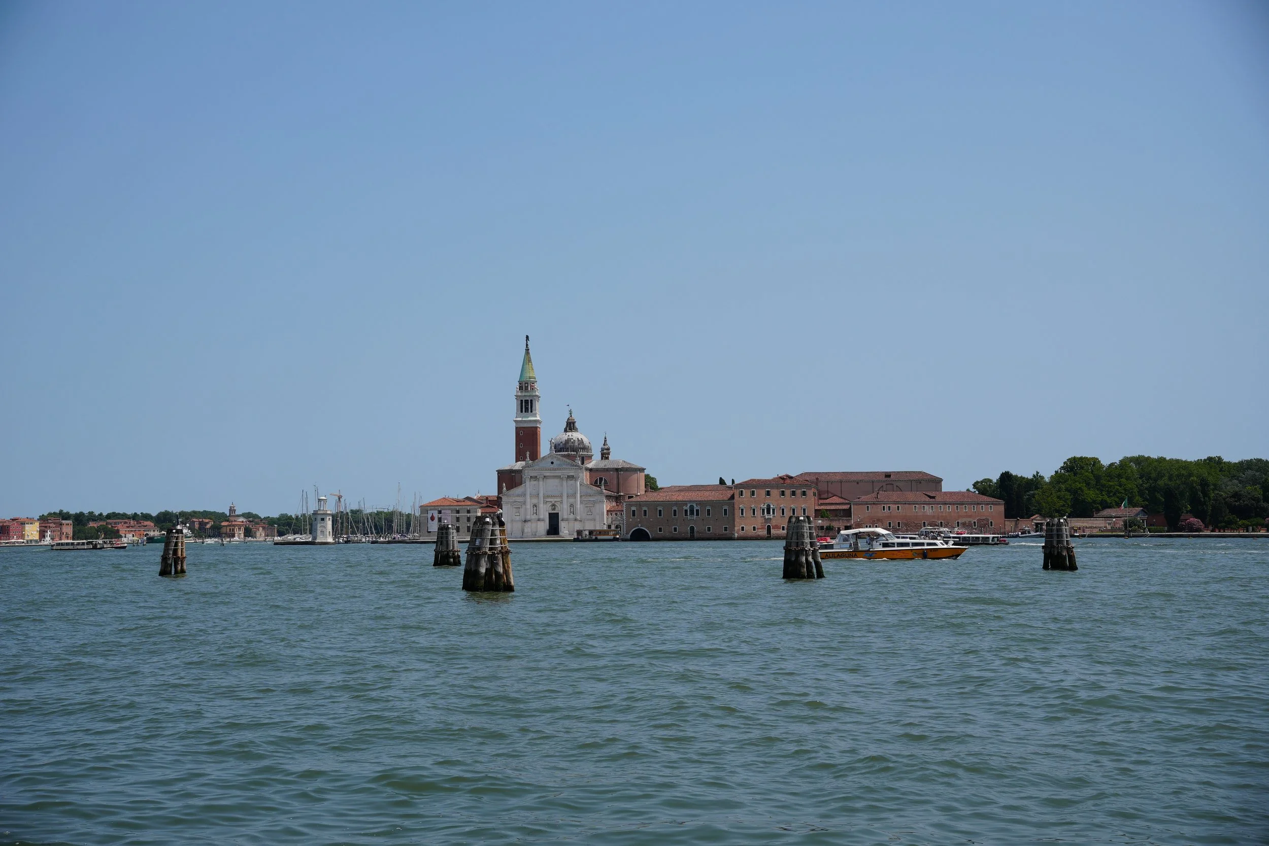 DSC05597.jpg