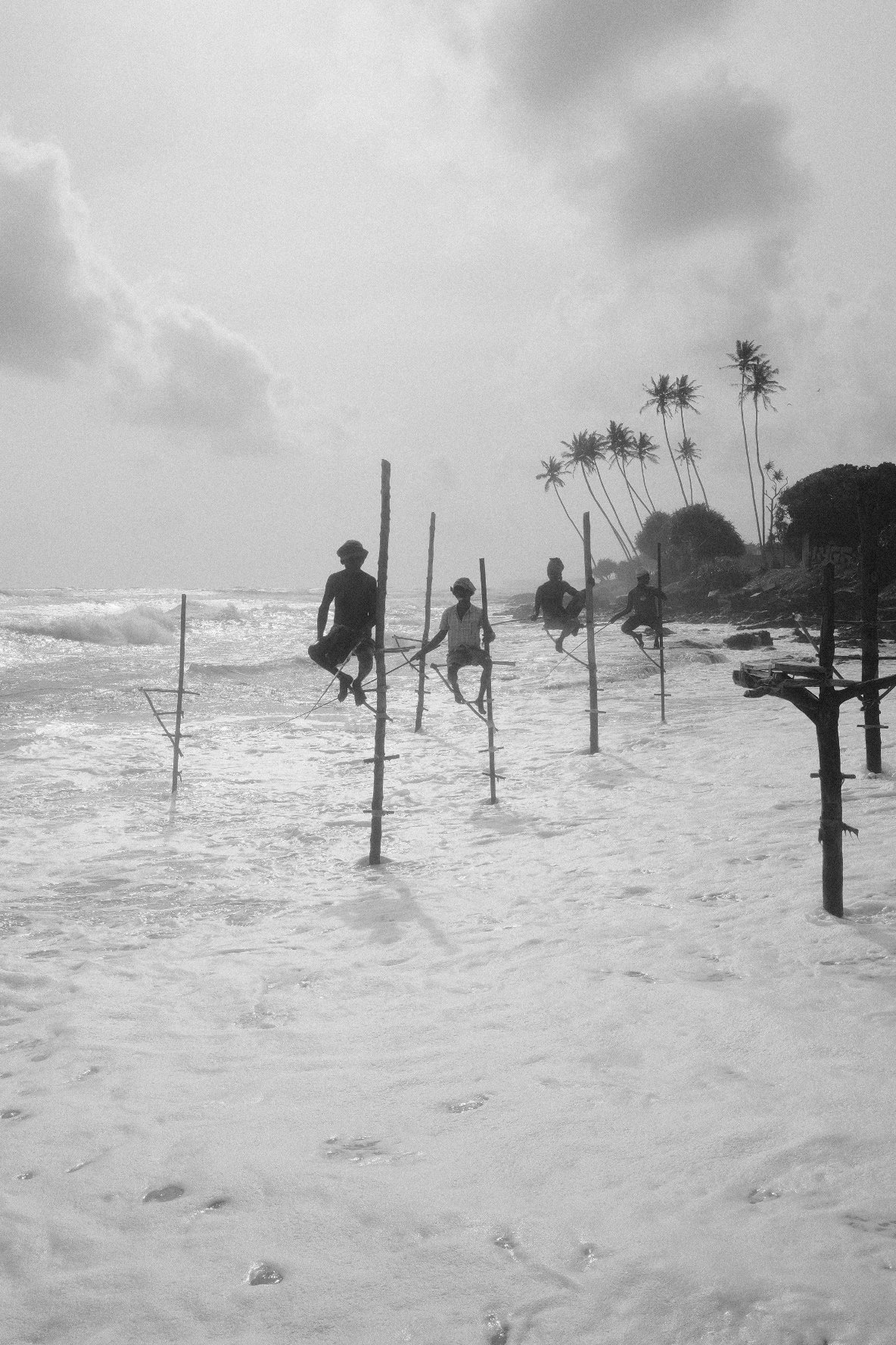 People walking on stilts along the shoreline of a beach with palm trees in the background.