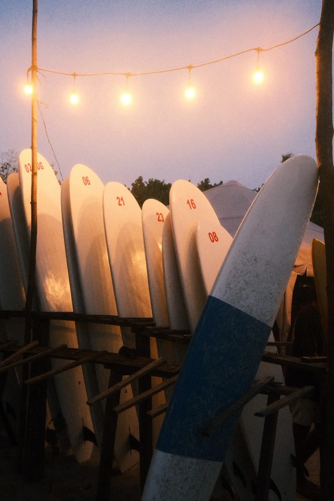 A collection of surfboards numbered 02, 06, 21, 23, 16, and 08, leaning against a support at sunset with string lights overhead and trees in the background.
