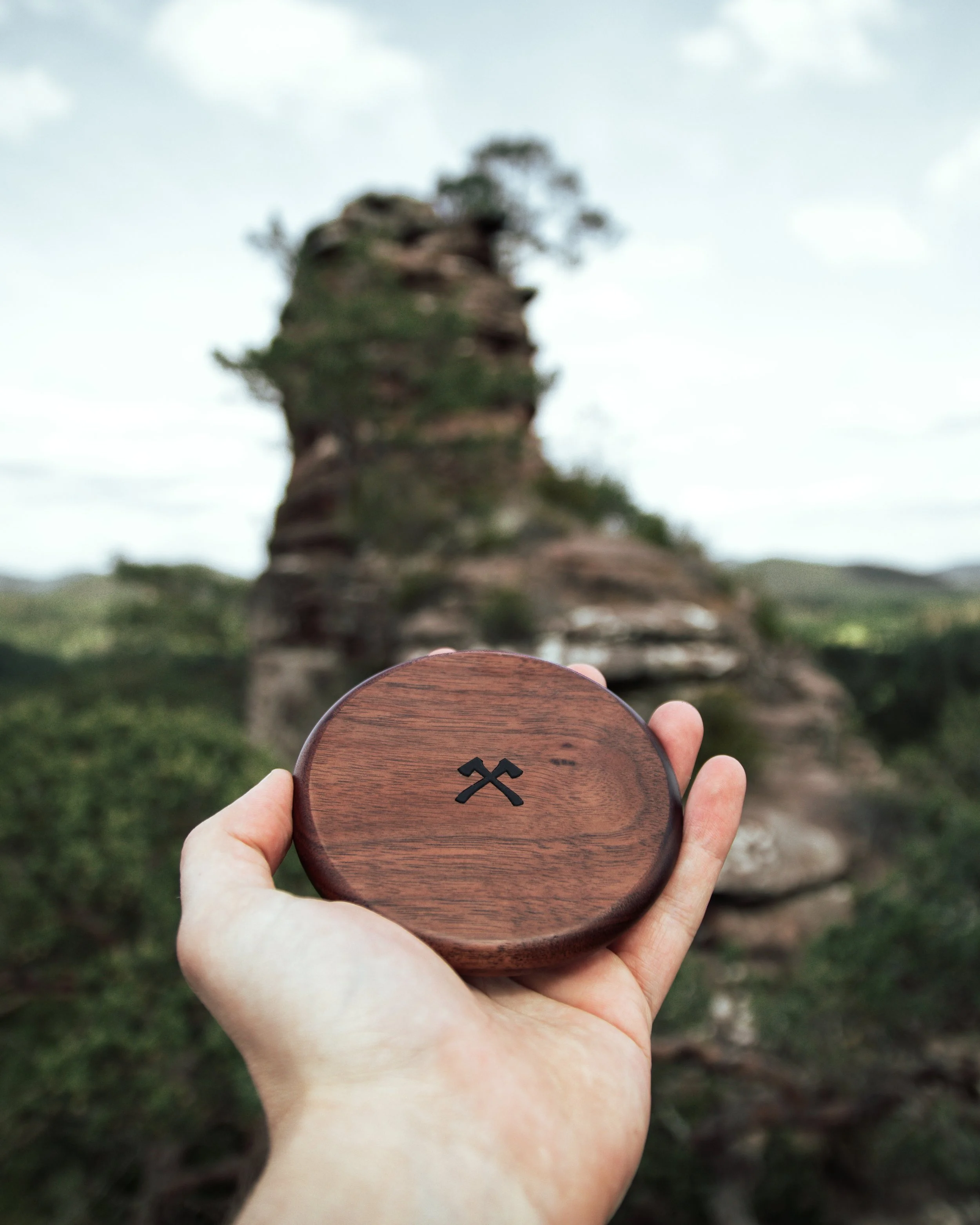 Person holding a round, dark wooden object with a black symbol on it, outdoors in front of a blurred tree and sky background.