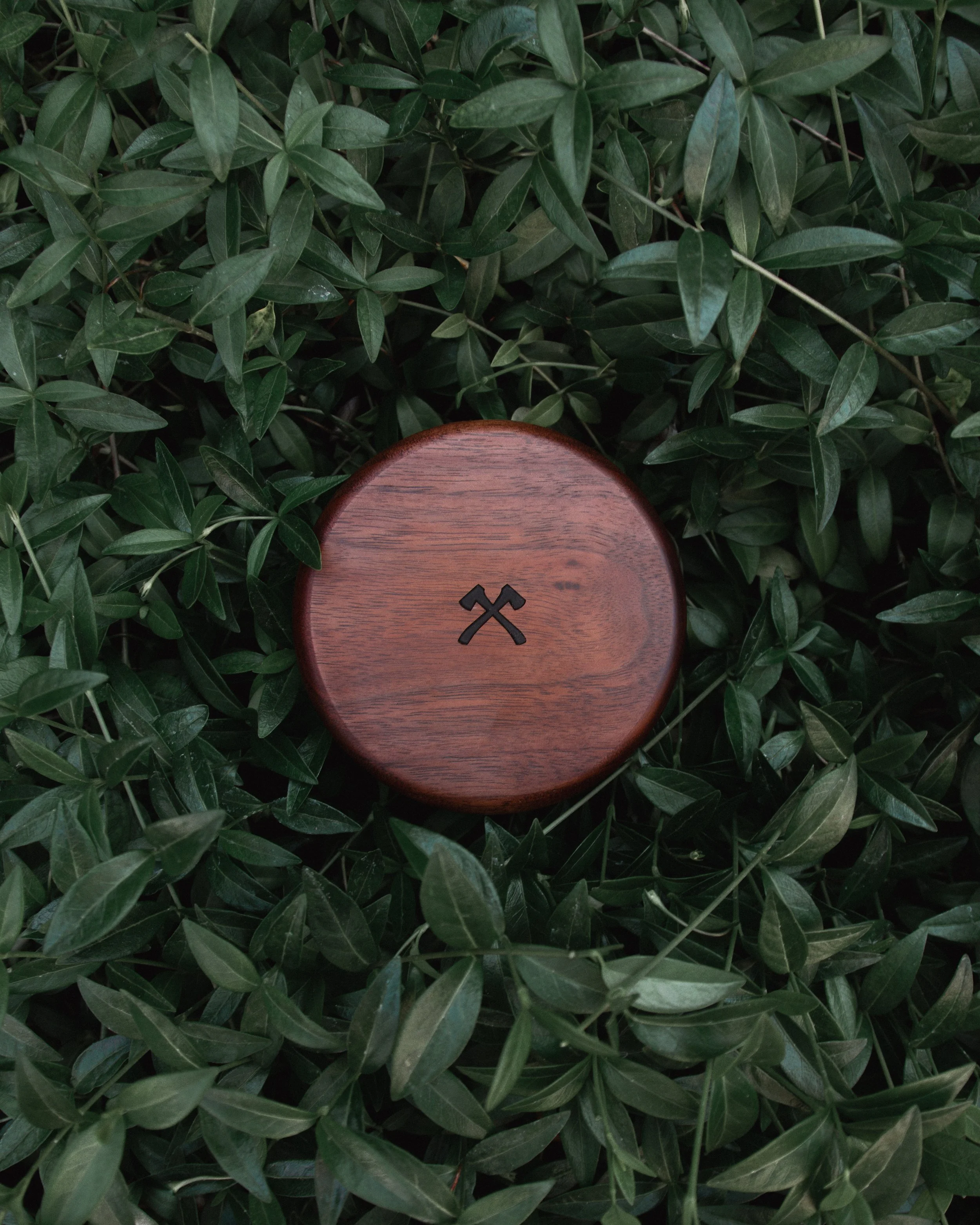 A round wooden object with a logo at the center, partially visible, surrounded by dense green leaves.