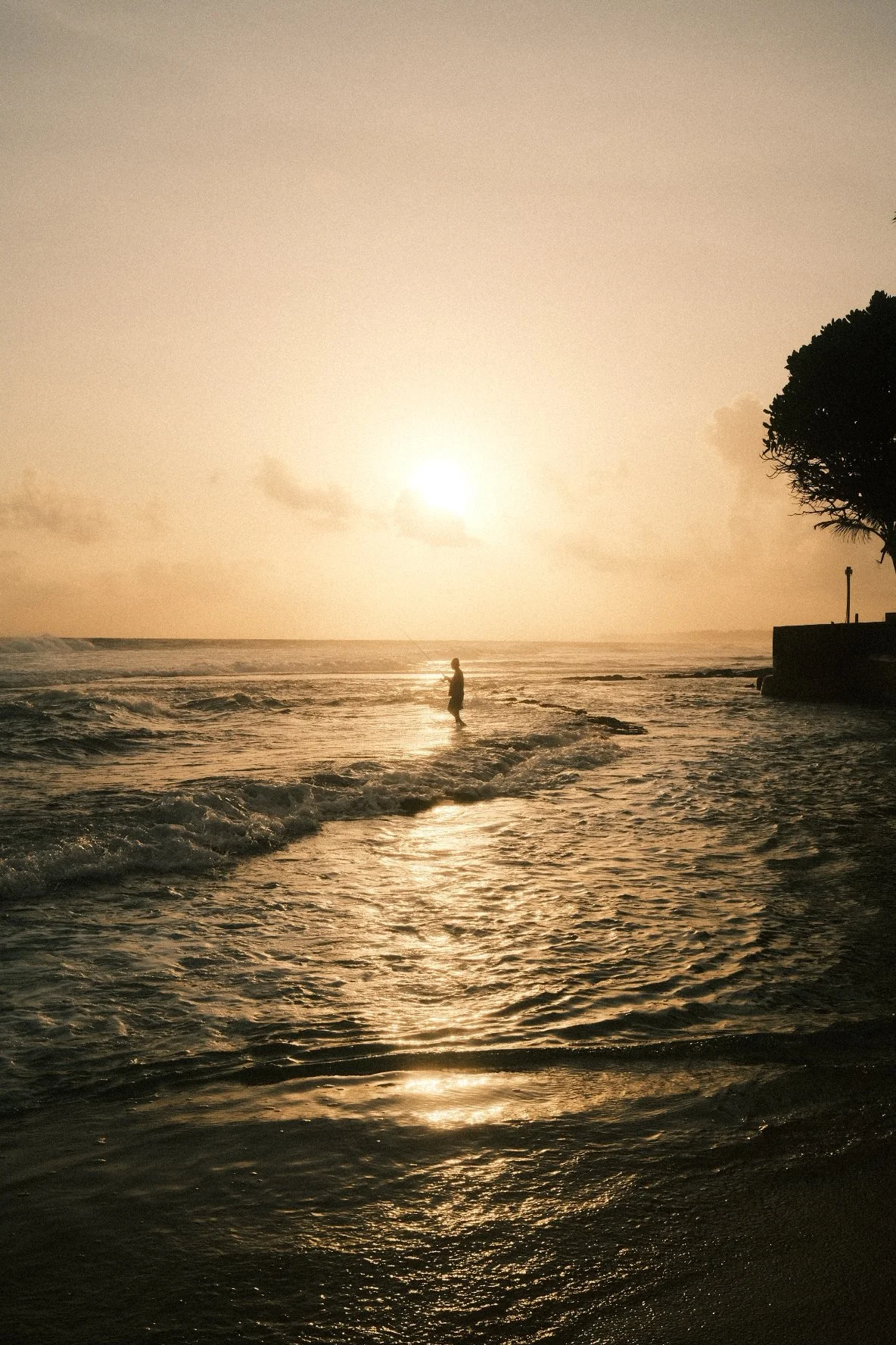 A person fishing at sunset on a beach, with the sun low on the horizon and a large tree on the right side.