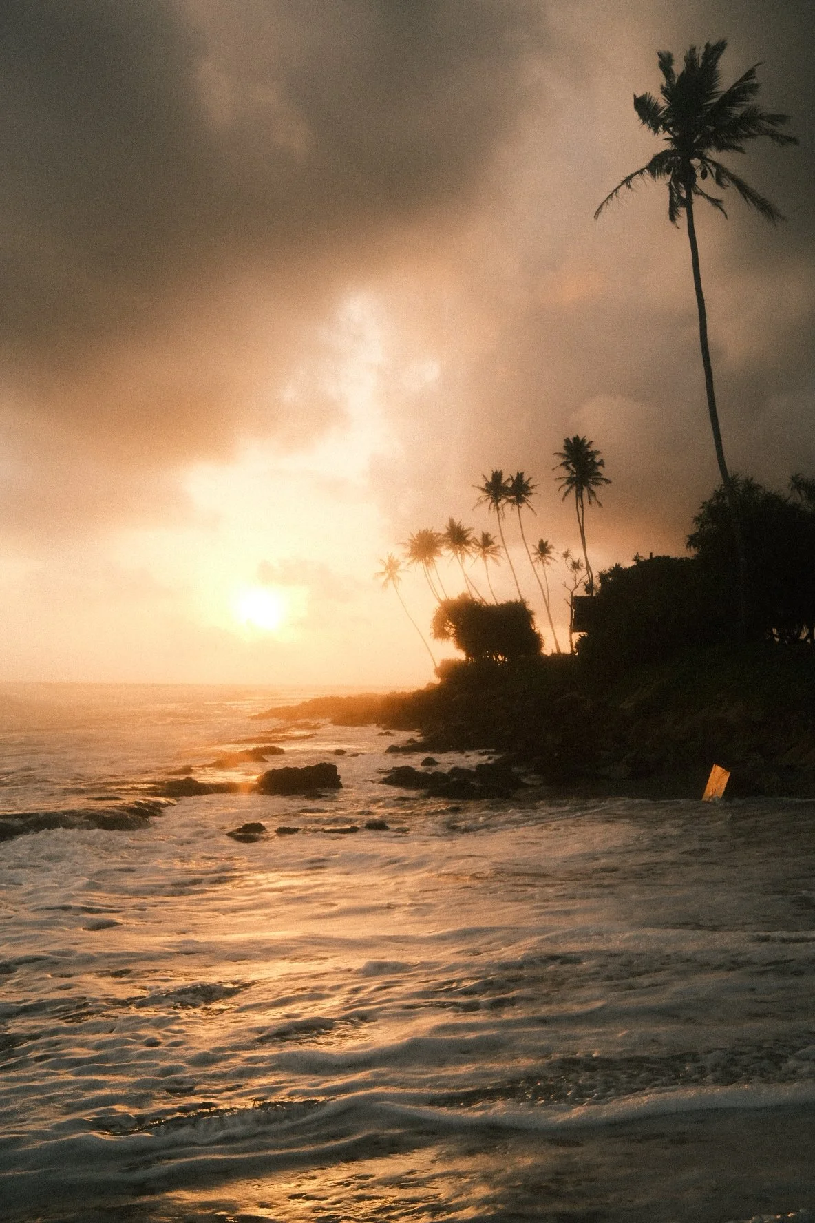 Sunset over a tropical beach with palm trees and rocky shoreline, with dark clouds in the sky.