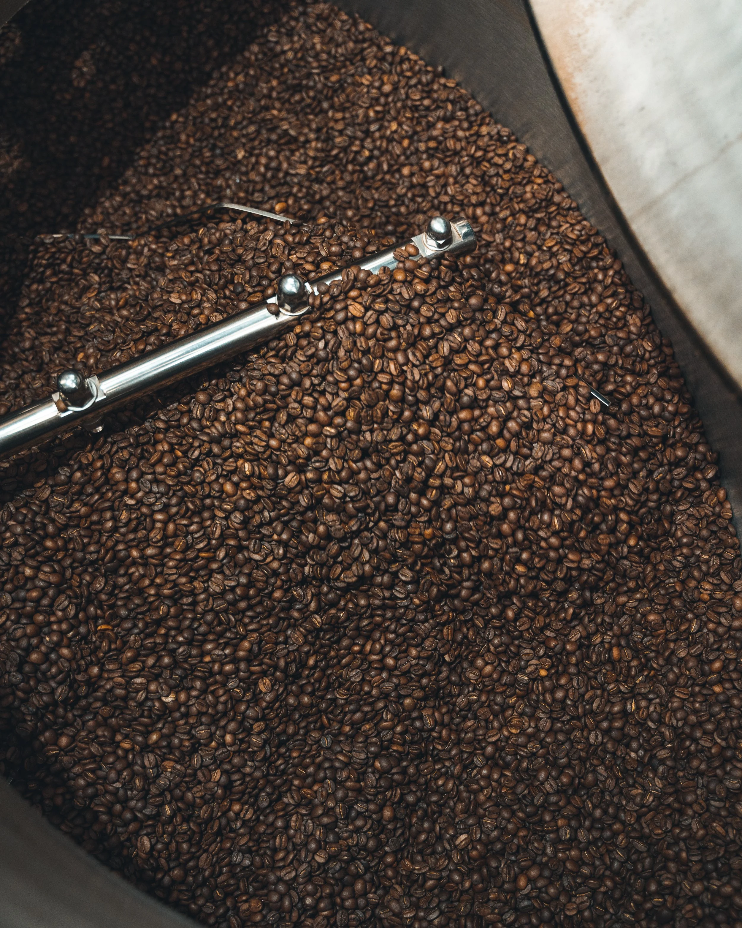 Close-up view of roasted coffee beans in a large container with a metal stirring rod.