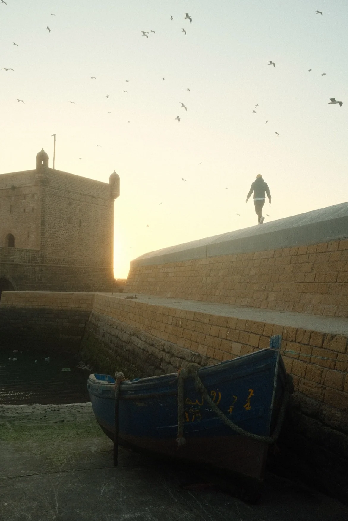 A person walking on top of a stone wall near an old stone fortress or castle, with a flock of birds flying in the sky at sunset, and a boat docked below in a harbor.