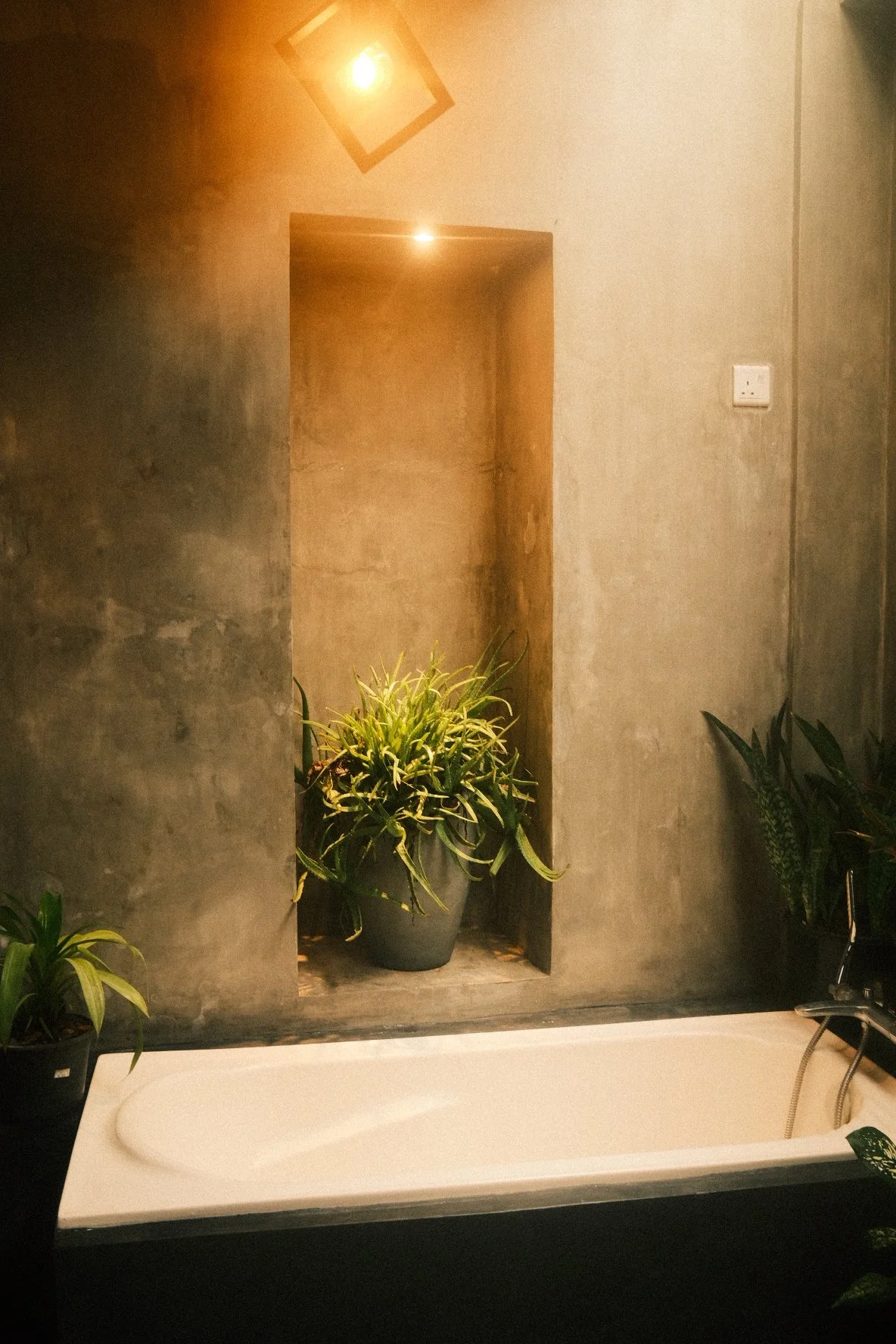 A bathroom with a bathtub, two potted plants, a textured concrete wall with an alcove, and warm lighting.