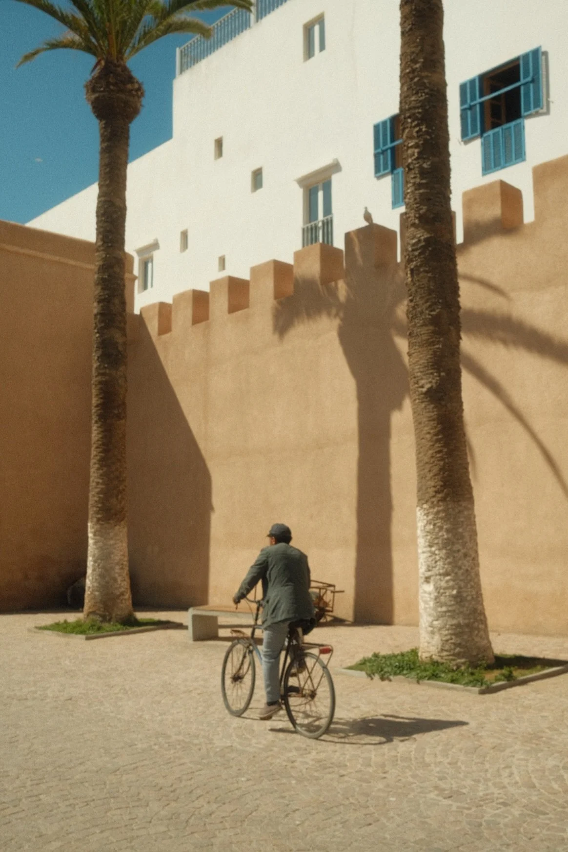 A man riding a bicycle through a courtyard with two tall palm trees, beige walls, and a white building with blue shutters in the background.