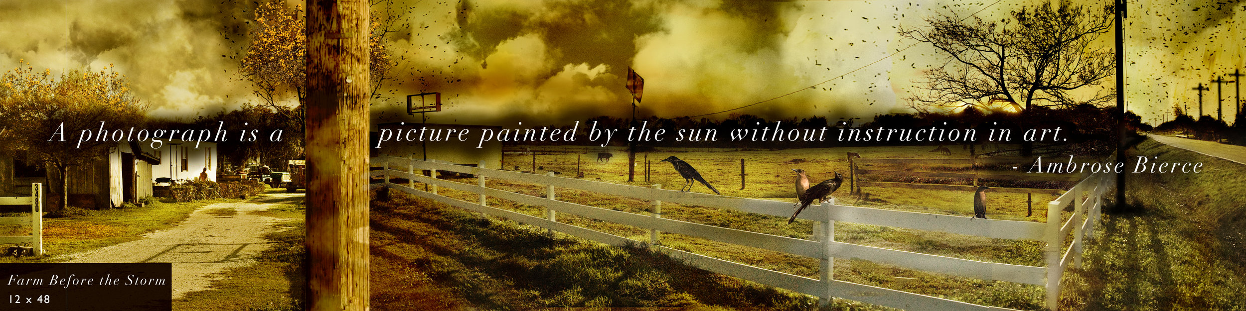 farmbefore.jpg