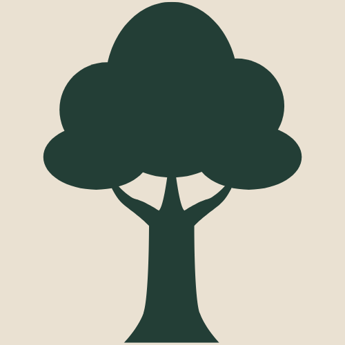 Silhouette of a tree with a large canopy and a sturdy trunk.