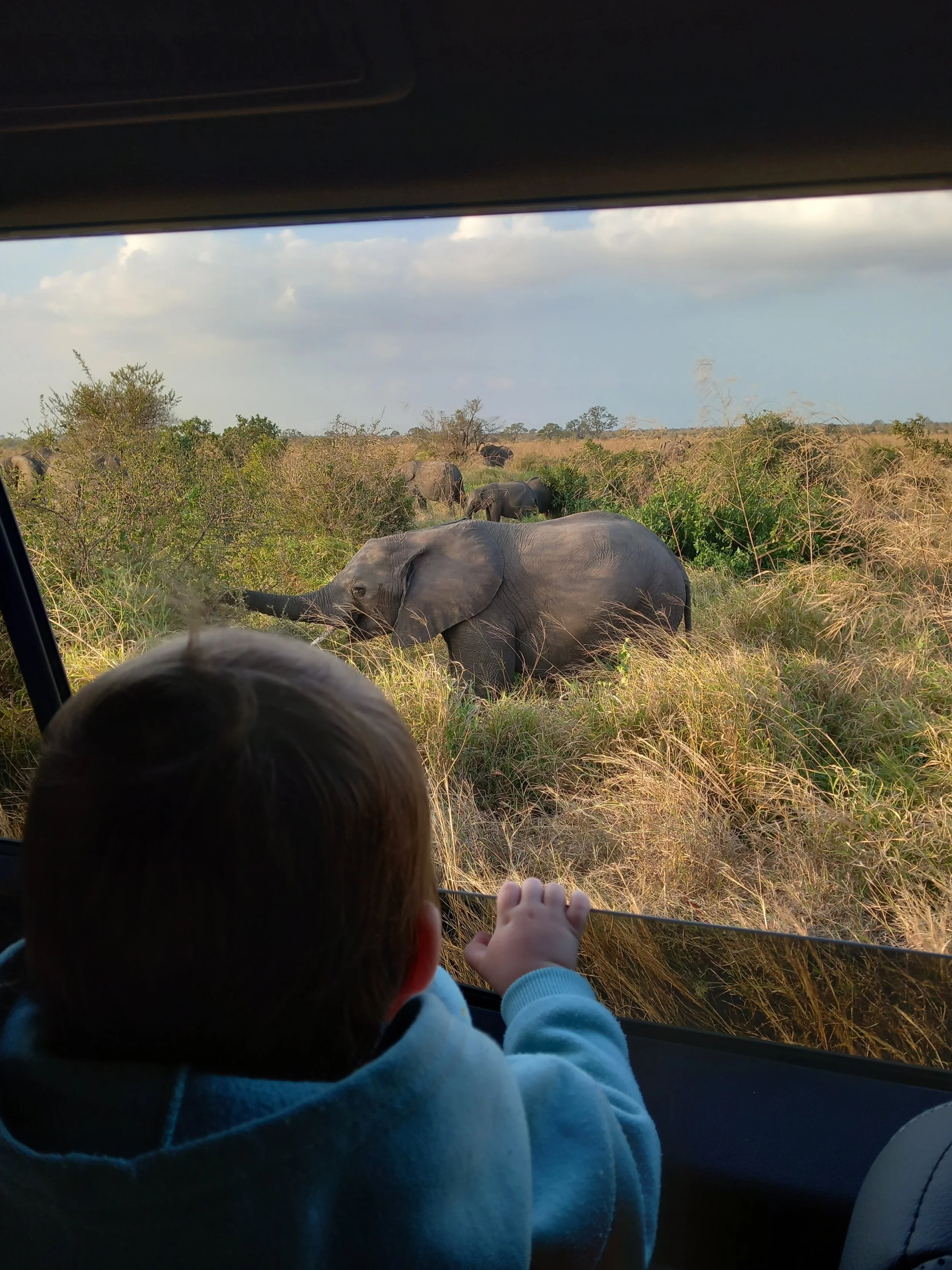 6 Tips for visiting Kruger National Park with a Baby