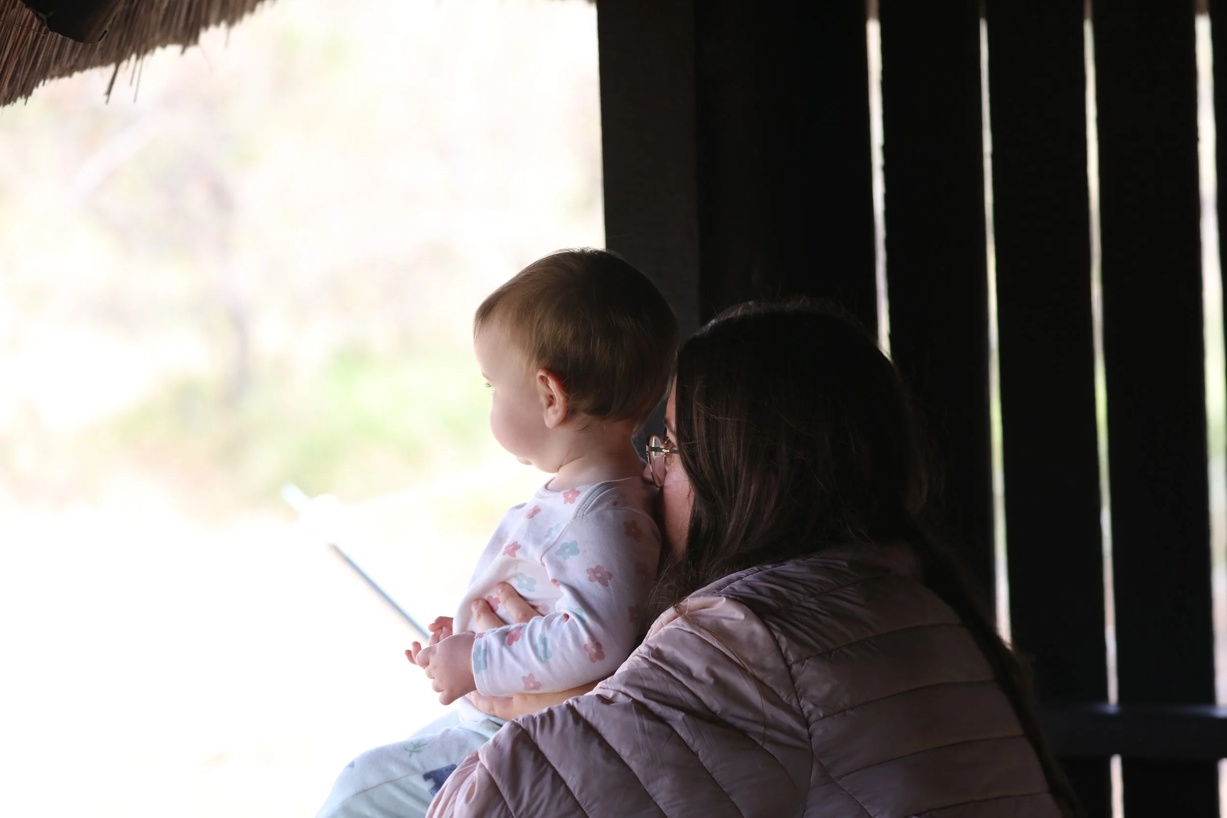 Baby in Kruger: A Year in the Life