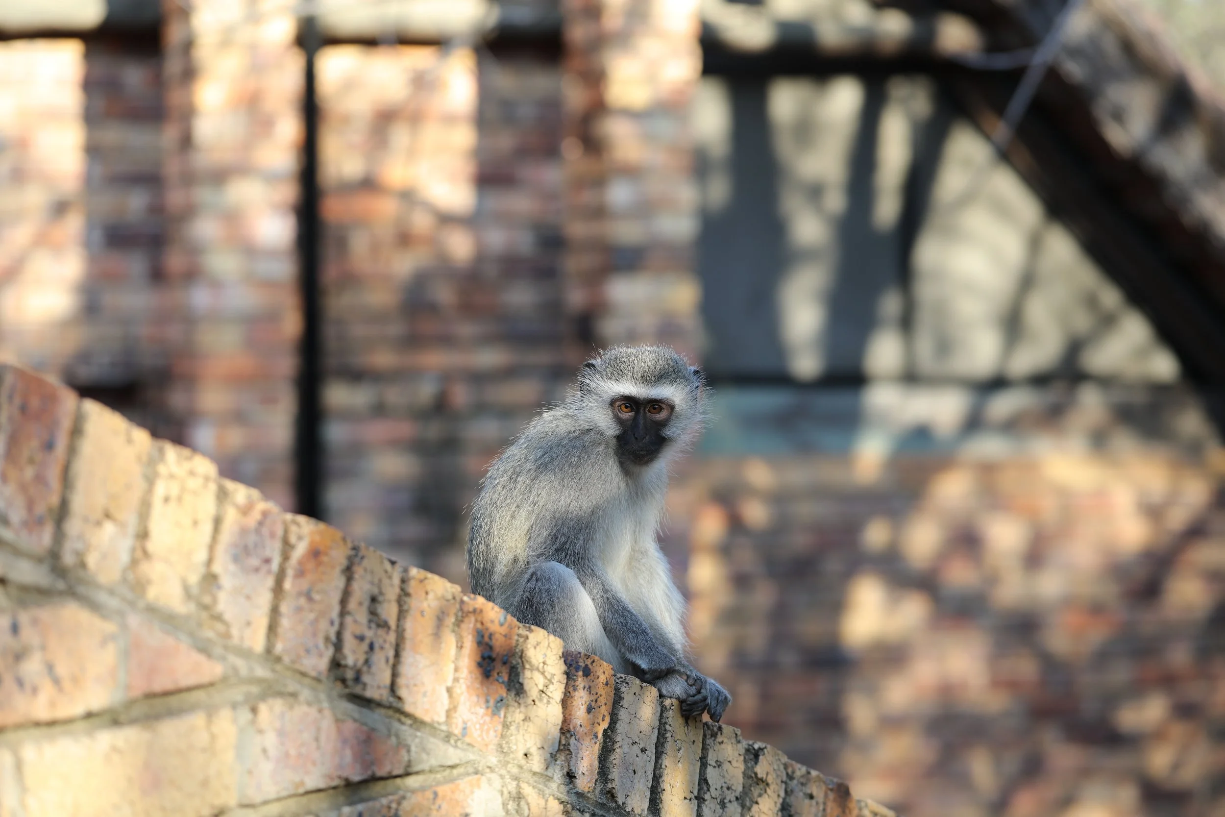 11 Mistakes First-Time Kruger Visitors Make
