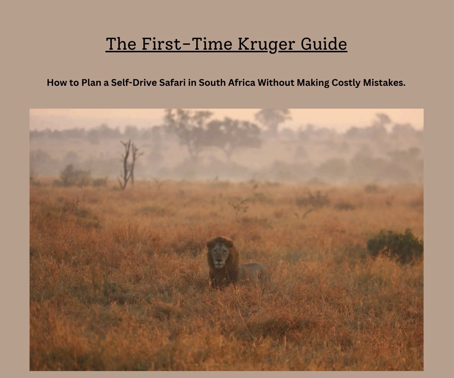 The First-Time Kruger Visitor Guide 2026