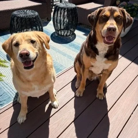 Moose+and+Livy.jpg