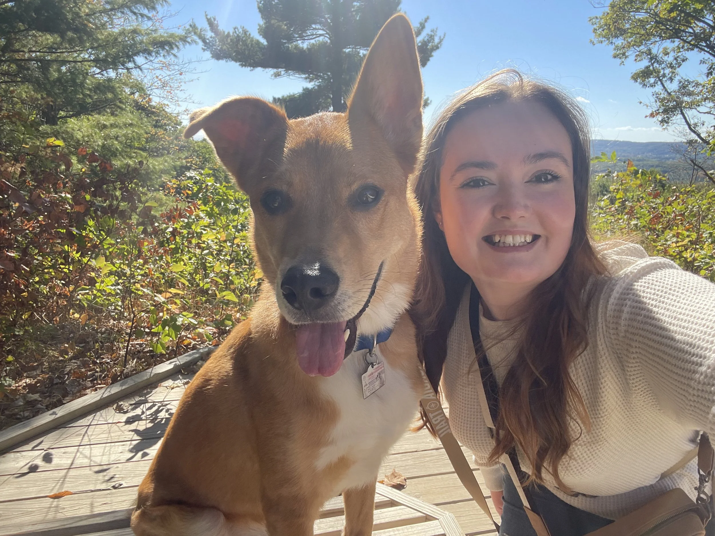 A woman smiling with a wide smile taking a selfie with a large brown and white dog outdoors on a sunny day, surrounded by trees and blue sky.