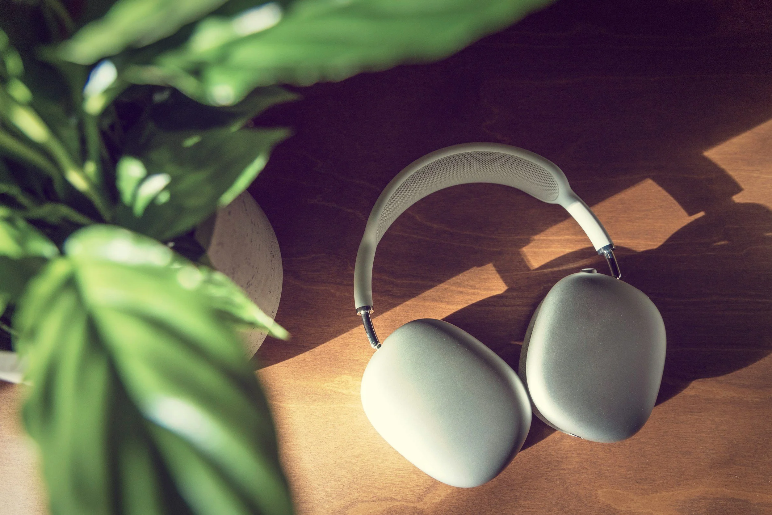White headphones beside a leafy green plant in a peaceful setting, symbolizing relaxation, connection, and personal growth.