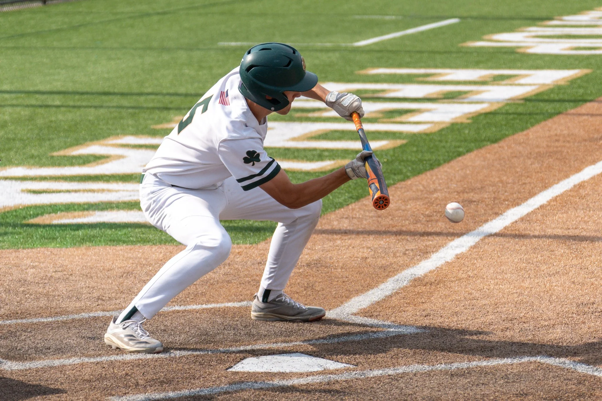 bf-baseball-e8-116.jpg
