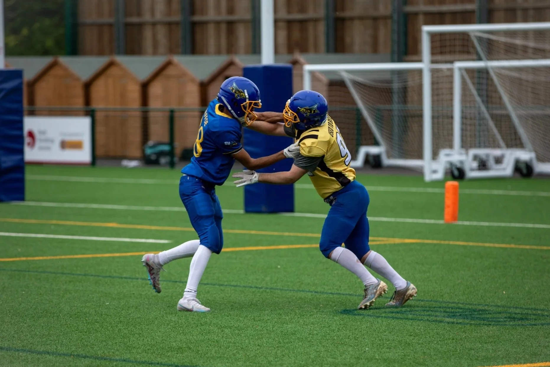 Two football players in blue and yellow uniforms engaged in a tackle during a game on an artificial turf field. They both wear blue helmets with a leaf logo. One player is pushing and the other is pulling as they collide near the sideline.
