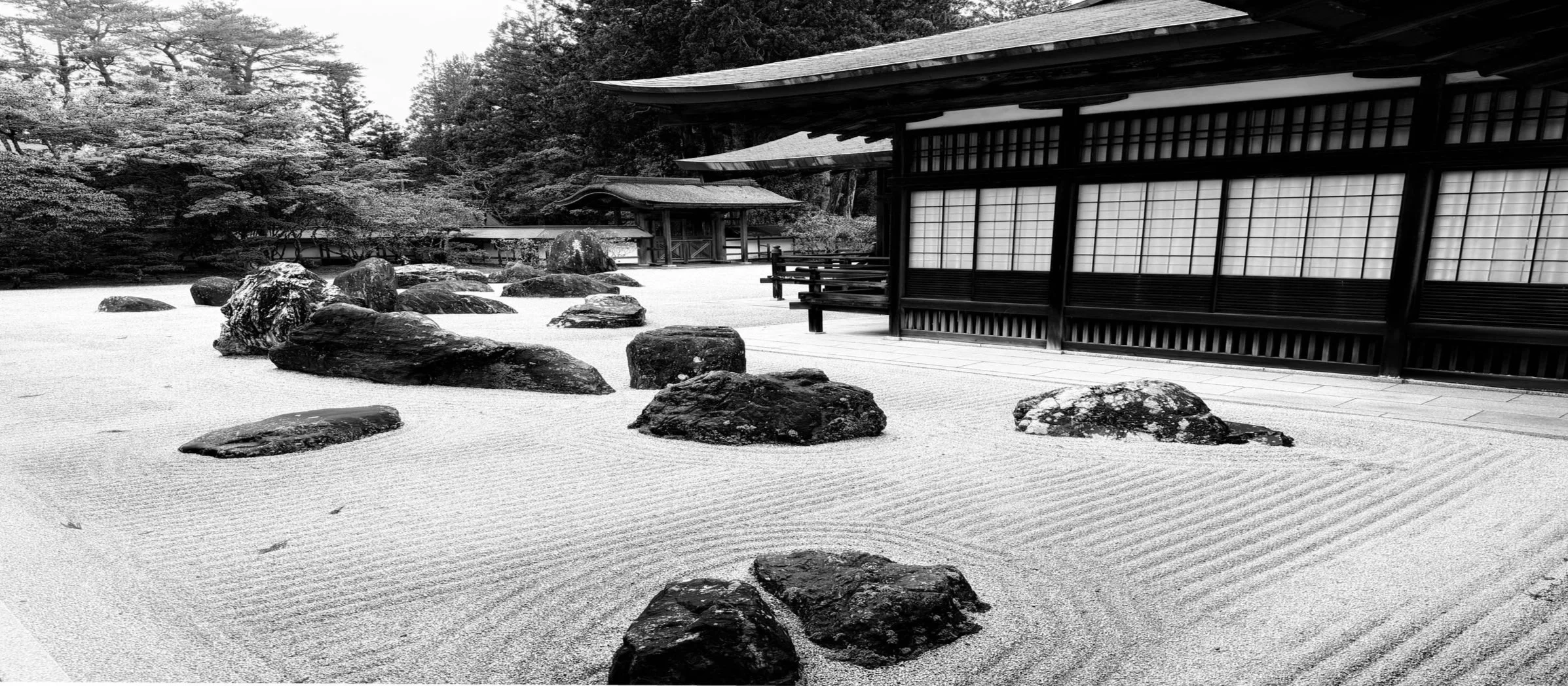 RockGarden1.jpg