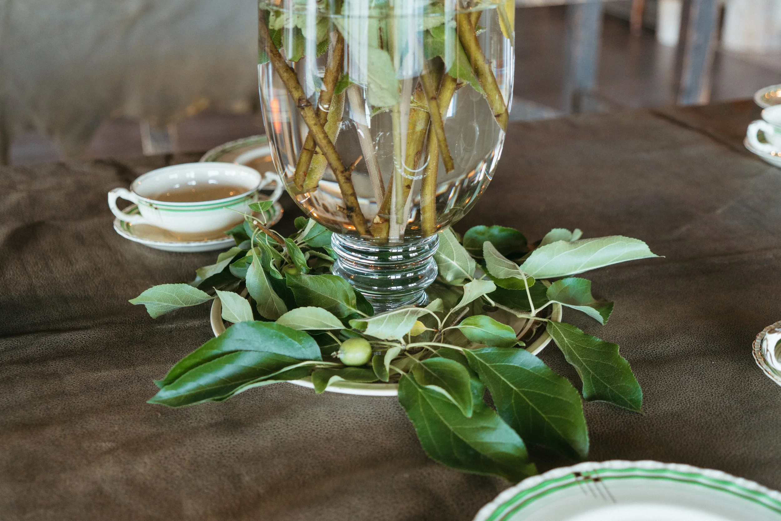 A clear glass vase filled with water and green plants with stems and leaves, placed on a wooden surface with a tablecloth. Surrounding the vase are green leaves and a small white dish with a cup of tea or coffee.