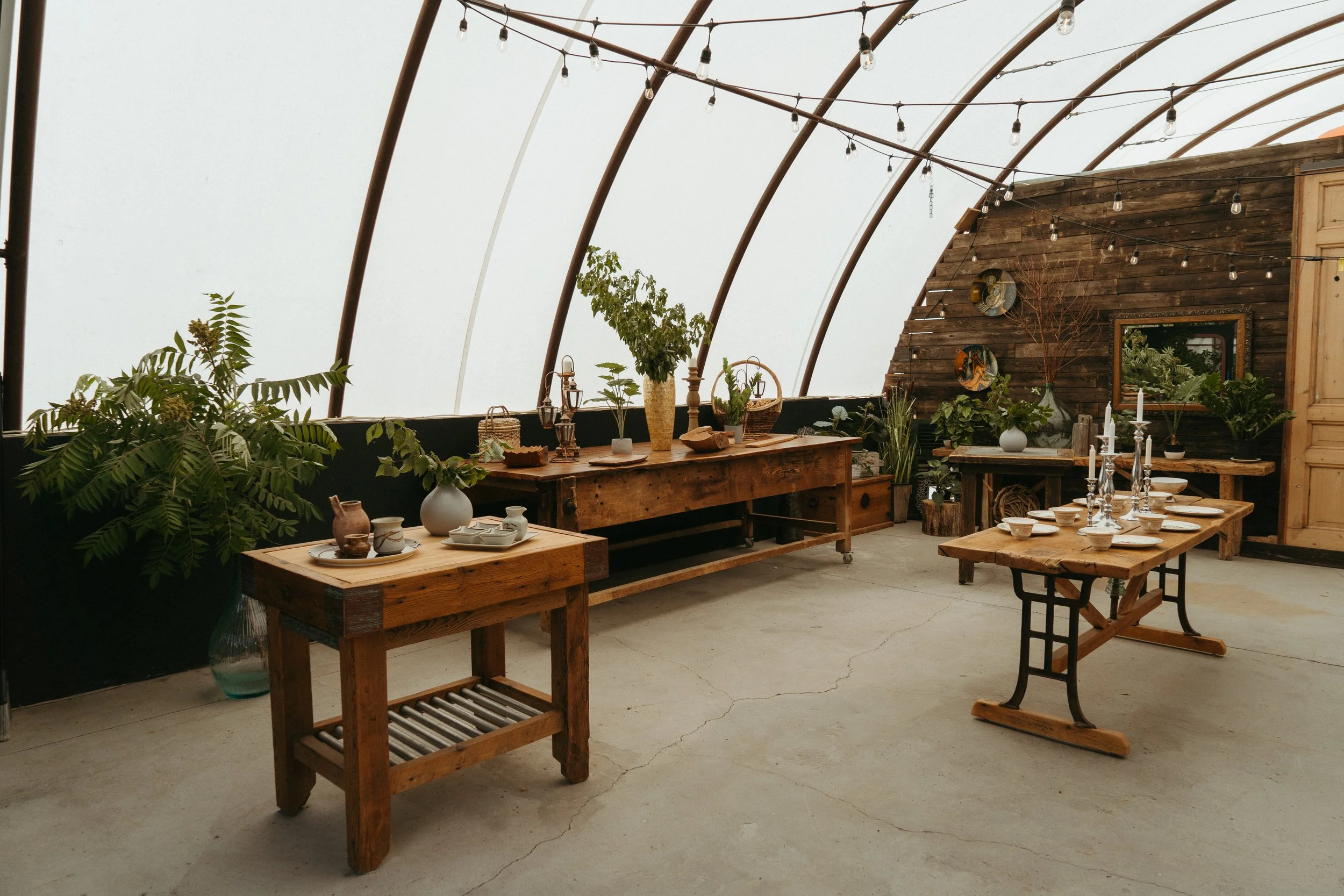 Interior of a rustic greenhouse or pavilion with wooden tables decorated with vases, plates, and candles, surrounded by various plants and greenery, and adorned with string lights hanging from the arched ceiling.