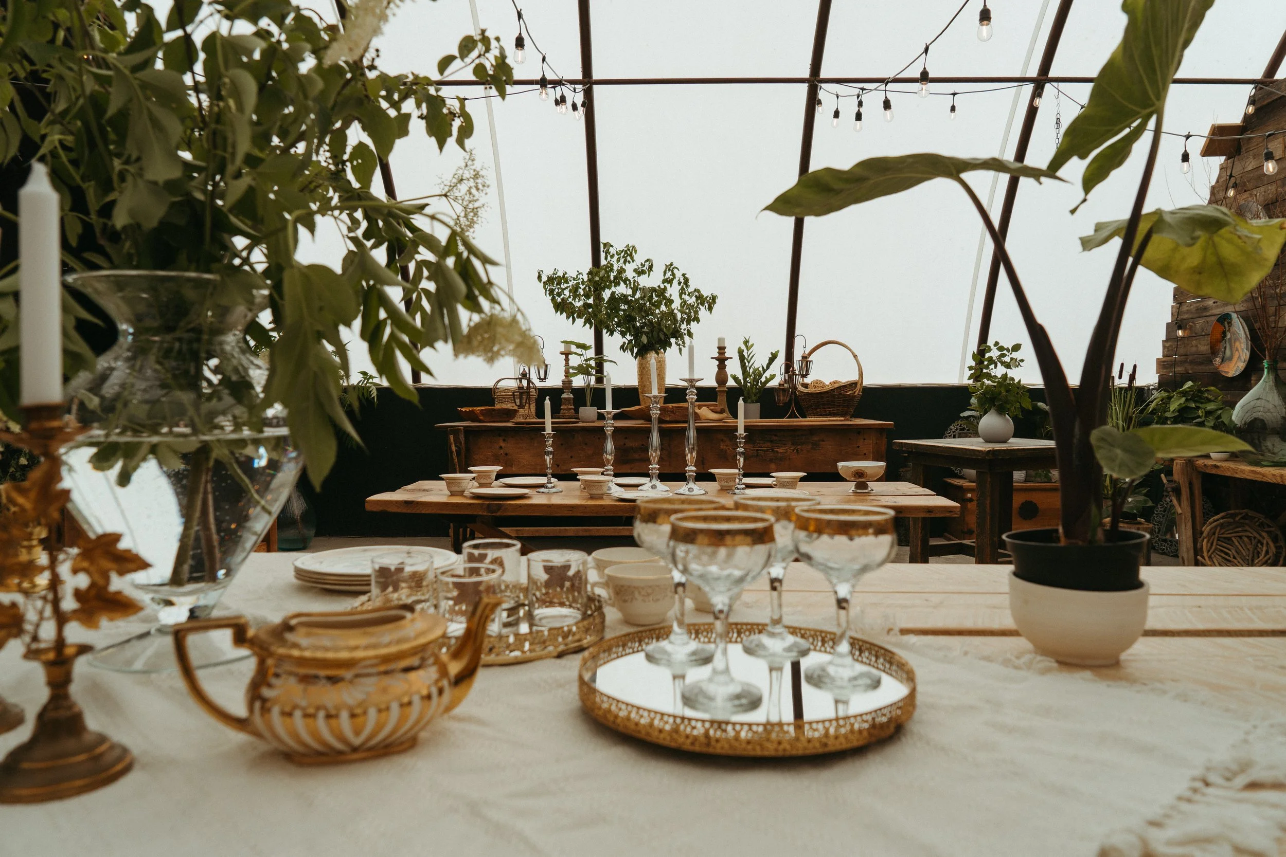A dining area decorated with various plants and greenery, featuring a rustic wooden table set with glassware, plates, and candlesticks, under a transparent roof with string lights hanging overhead.