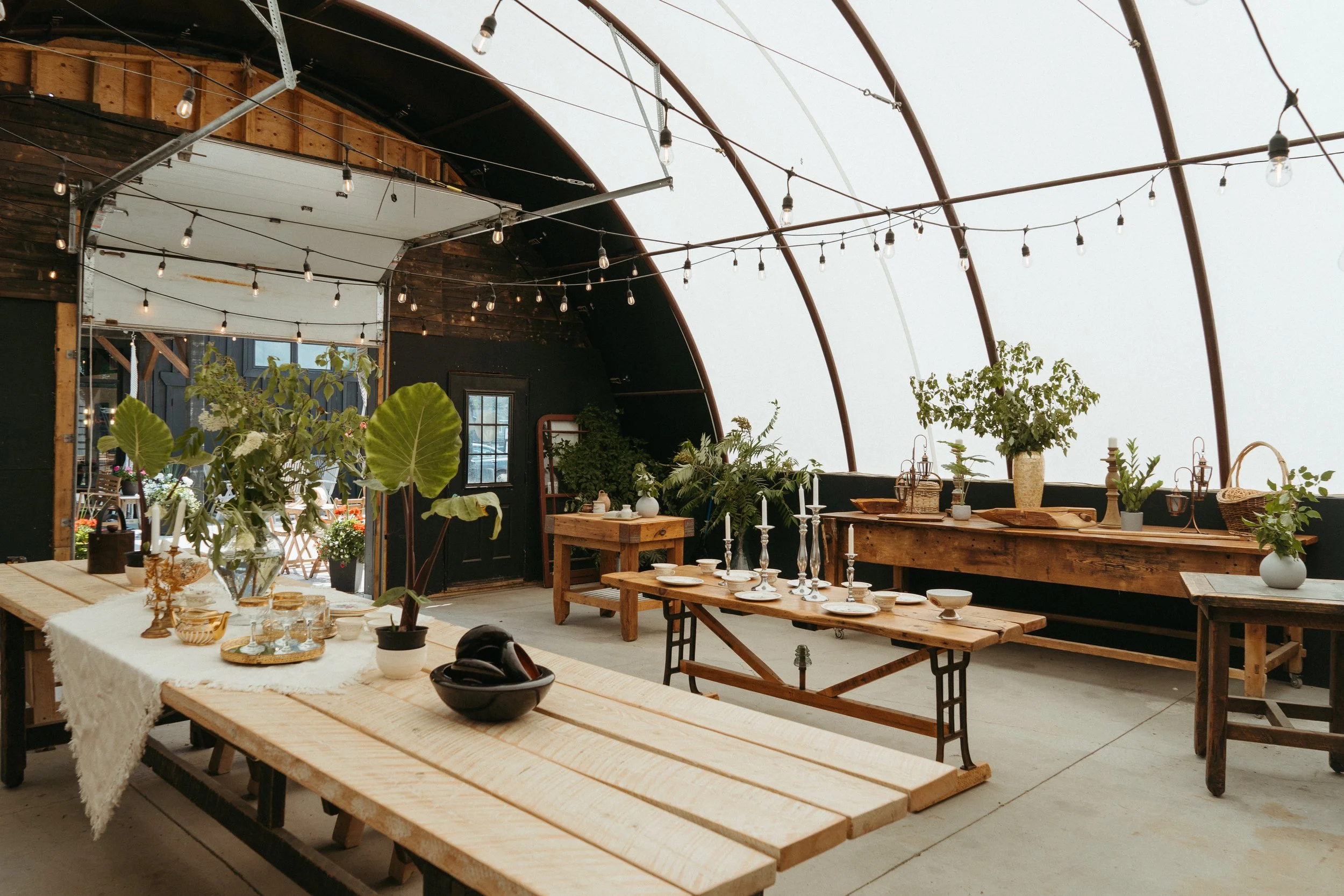 A rustic indoor space decorated with plants, string lights, and wooden furniture, set up for a gathering or event.