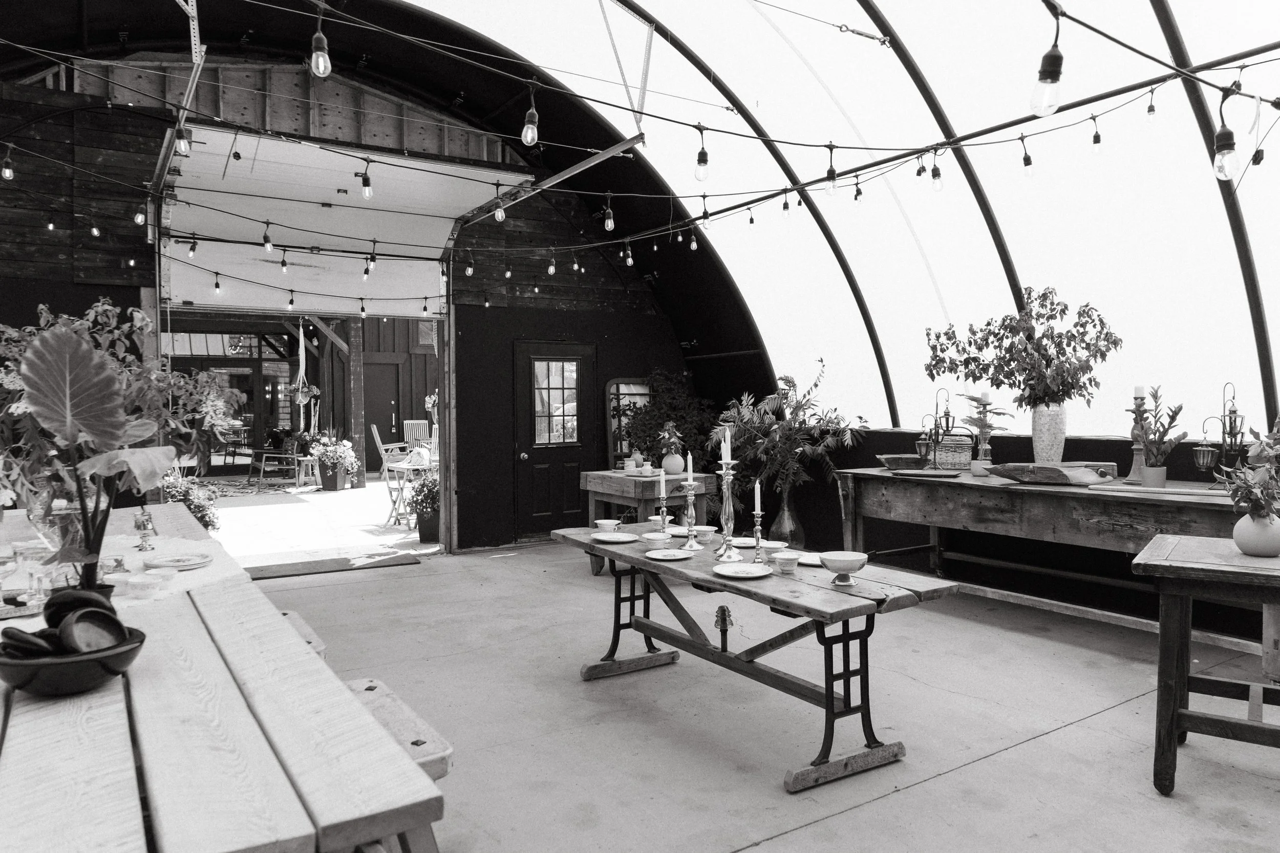 Black and white photo of an outdoor decorated space with string lights, wooden furniture, potted plants, and a large windowed structure with a curved roof.