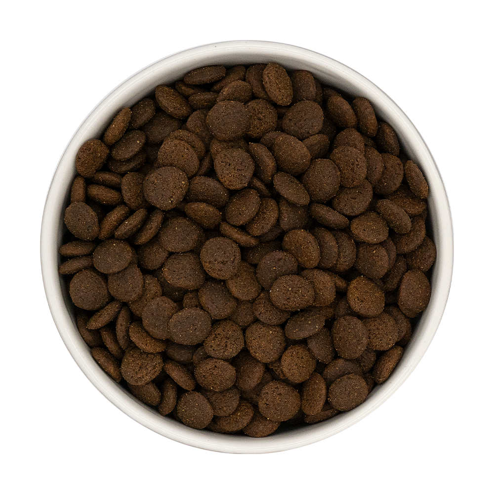 17dcdb_16bb827b85664d7483377a2ab24ea1f9~mv2.png