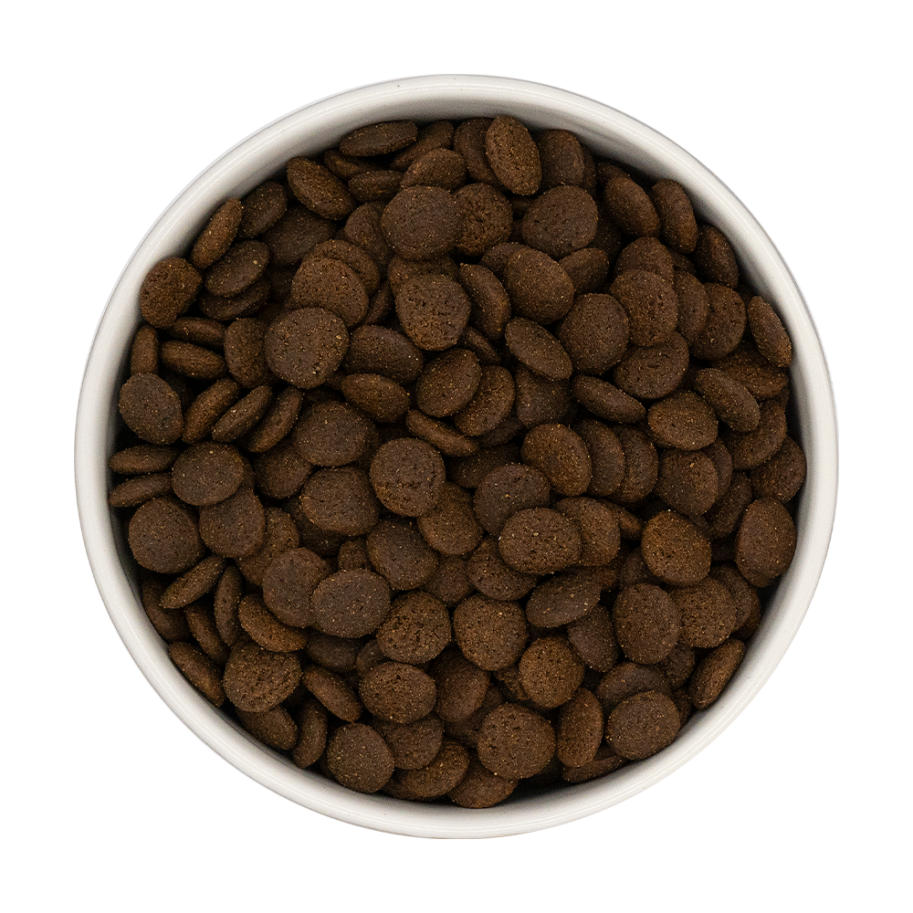 17dcdb_16bb827b85664d7483377a2ab24ea1f9~mv2.png