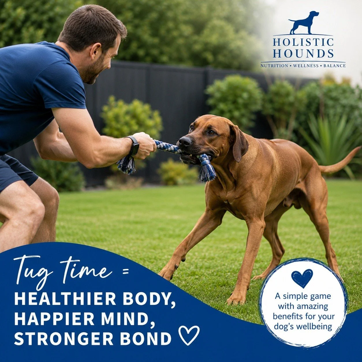 🐶💙 Why every dog should have the opportunity of a game of tug!

Tug is so much more than just a fun game &ndash; it's a fantastic way to support your dog's physical and mental wellbeing.

💪 It provides great physical exercise.
🧠 It challenges you