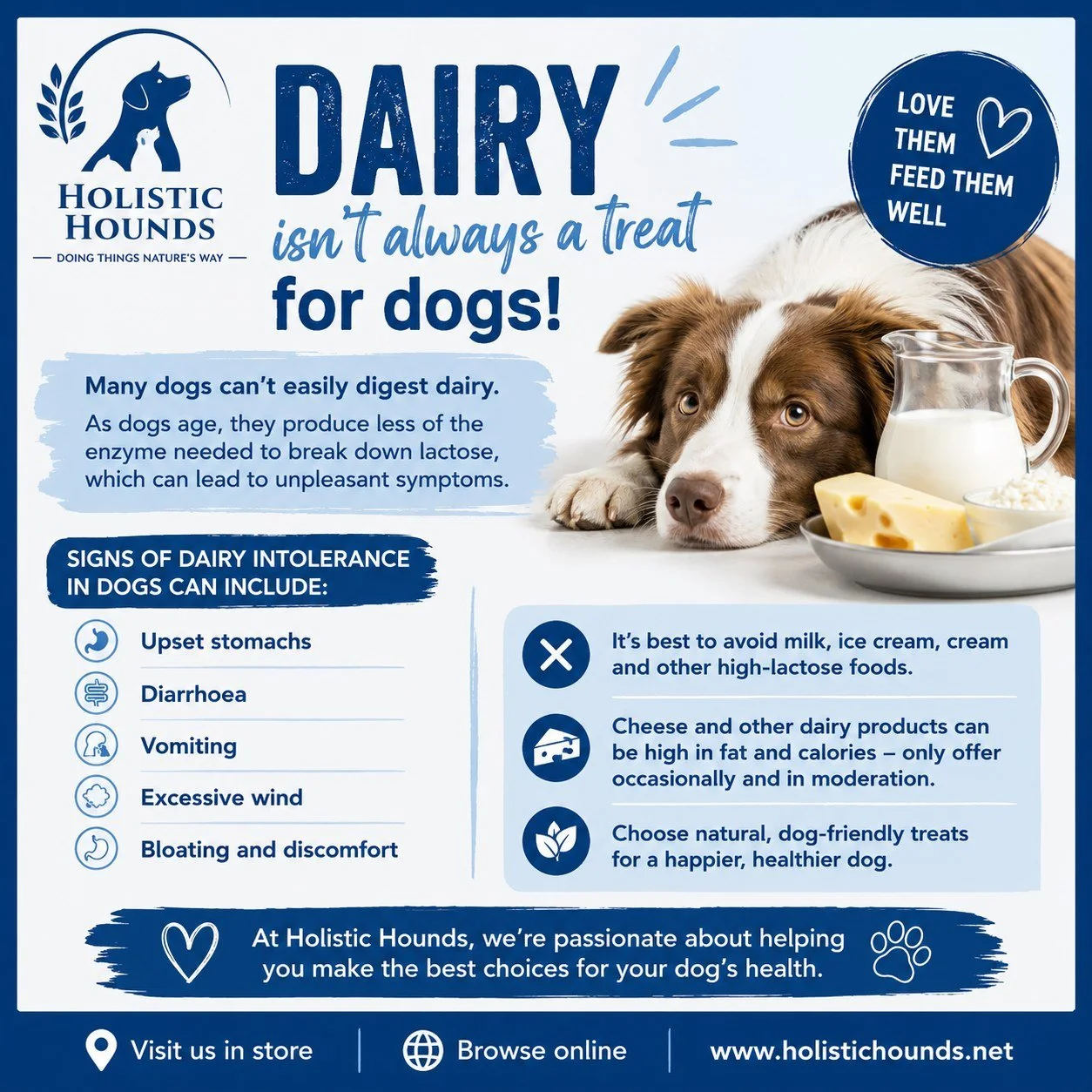 🐶🥛Did You Know? Dairy Isn't Always a Treat for Dogs!

Many of us think it's harmless to let our dogs have a little cheese, milk, or ice cream, but the truth is that most dogs struggle to digest dairy products.

As puppies get older and become adult