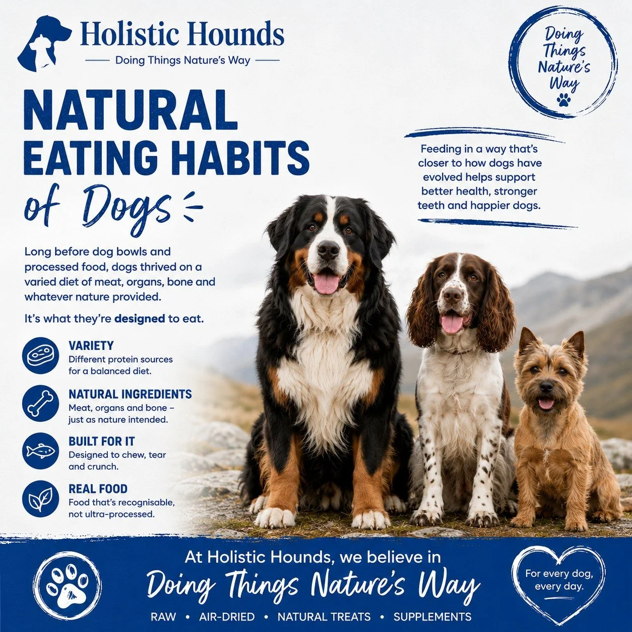 🐺 Dogs were designed to chew, tear and crunch.

Long before dog bowls and processed food, dogs ate a varied diet made up of muscle meat, organs, edible bone and whatever nature provided. They didn't eat the same thing every day, and they certainly d
