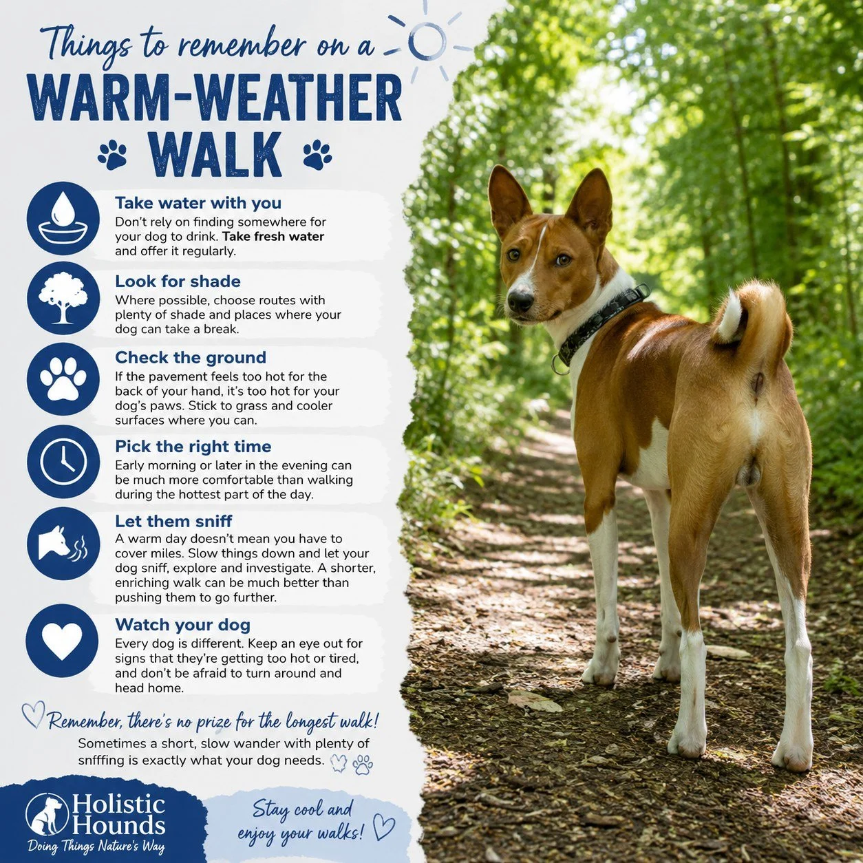 ☀️🐾 THINGS TO REMEMBER ON A WARM-WEATHER WALK 🐾☀️

When the weather warms up, a few simple changes can make walks much more enjoyable &mdash; and safer &mdash; for our dogs. 💙

💧 Take water with you
Don&rsquo;t rely on finding somewhere for your 