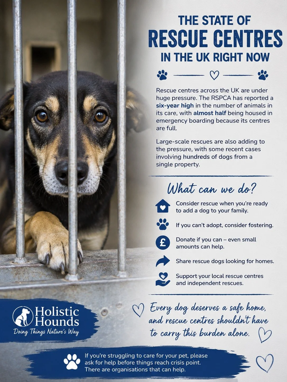 🐾 THE STATE OF RESCUE CENTRES IN THE UK RIGHT NOW 🐾

It&rsquo;s easy to scroll past another post about a dog looking for a home.

Another sad face behind kennel bars.
Another &ldquo;needs a forever home&rdquo;.
Another rescue asking for shares, don