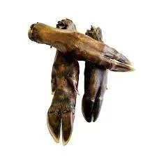🐗 WILD BOAR FEET &ndash; A CHEW WITH A DIFFERENCE! 🐗

Looking for something a little different for your dog to get their teeth into?

Our Wild Boar Feet are 100% wild boar and naturally air-dried, giving your dog a satisfying, long-lasting chew wit