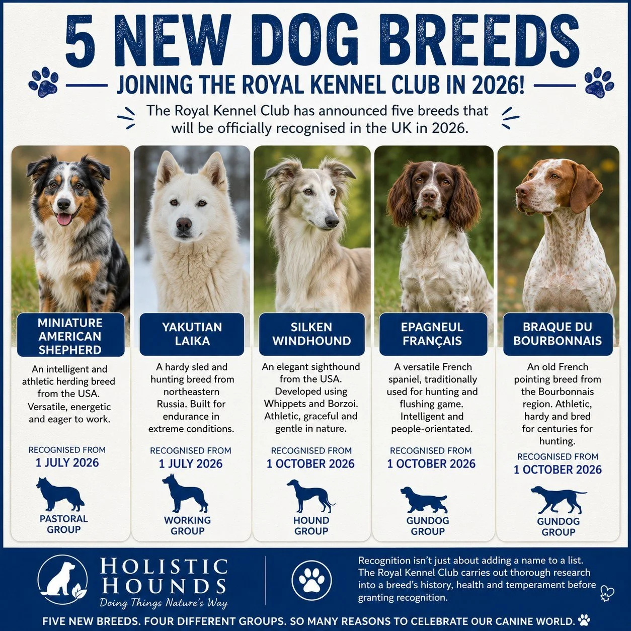 🐾 Five new dog breeds are joining the UK&rsquo;s recognised pedigree breeds in 2026! 🇬🇧🐶

The world of dog breeds is constantly evolving, and 2026 is proving to be an interesting year for The Royal Kennel Club, with five breeds gaining official r