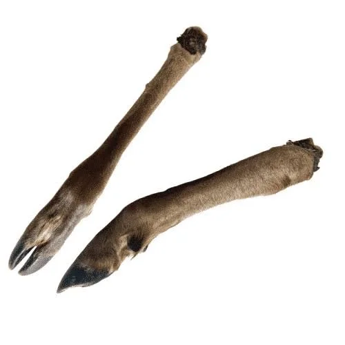 🦌🐶 Looking for a natural chew that gives your dog something to really get stuck into?

Our Deer Legs with Fur are made from 100% deer and nothing else. They&rsquo;re air-dried, single-protein chews with the fur left on.

The fur isn't just there fo
