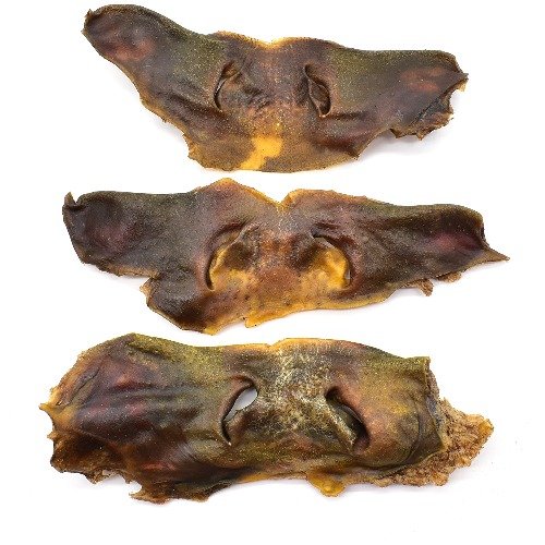 🐄🐶 Looking for a longer-lasting natural chew?

Our Cow Noses are a simple, natural chew made from 100% beef, with no artificial colours, flavours or preservatives.

They&rsquo;re a great option for dogs who enjoy a proper chewing session, providing
