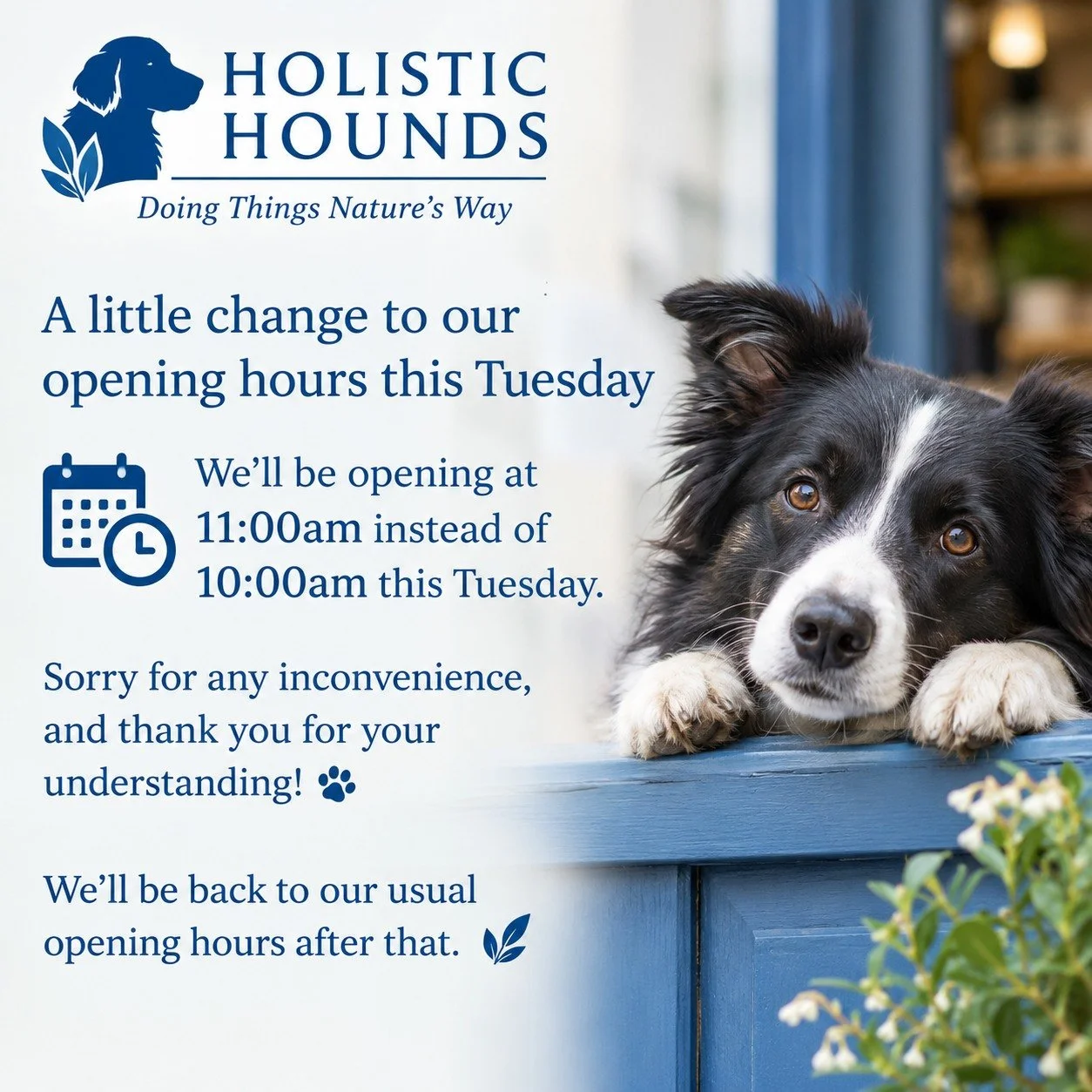 📢 A little change to our opening hours this Tuesday

We&rsquo;ll be opening at around 11:00am instead of 10:00am this Tuesday.

Sorry for any inconvenience, and thank you for your understanding! 🐾💙

We&rsquo;ll be back to our usual opening hours a