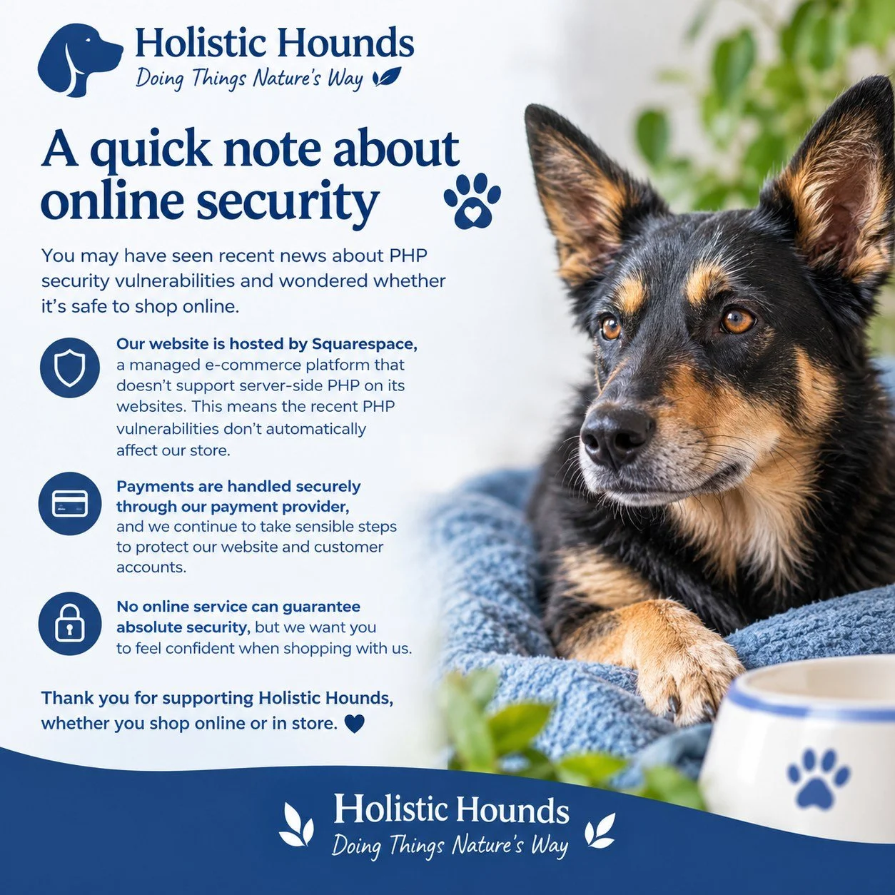 🐾 A quick note about online security 🌿

You may have seen recent news about PHP security vulnerabilities and wondered whether it's safe to shop online.

At Holistic Hounds, we take the security of our online shop seriously. Our website is hosted by