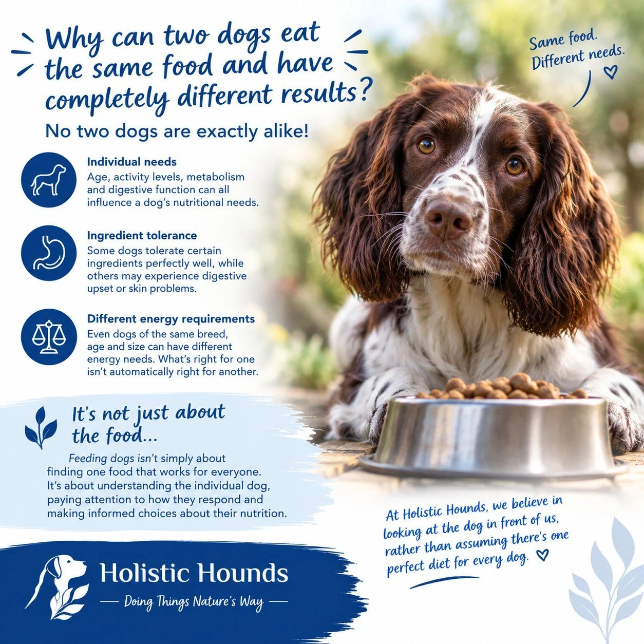 🐾🧬 Why can two dogs eat exactly the same food and have completely different results?

Ever met a dog who thrives on a particular diet, while another dog eating the very same food struggles with it?

🌿 There's a reason for that. No two dogs are exa