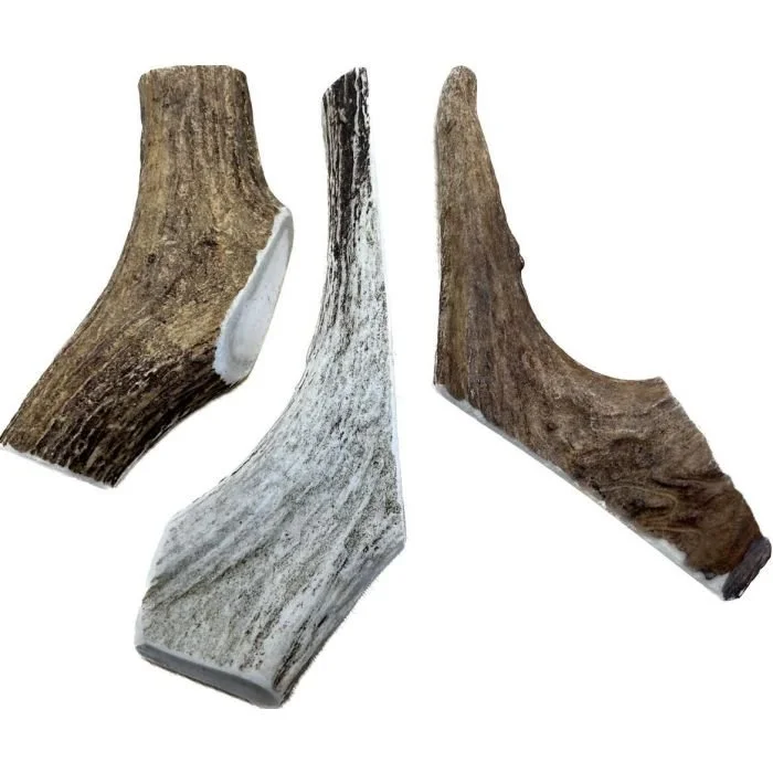 akela_large_elk_antler_-_17cm.jpg