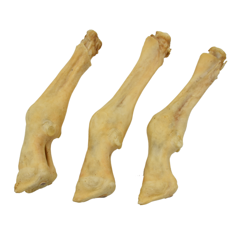 lambs foot.png