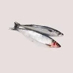 Dougies Whole Herring (1kg)
