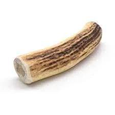 Red Deer Antler (M)
