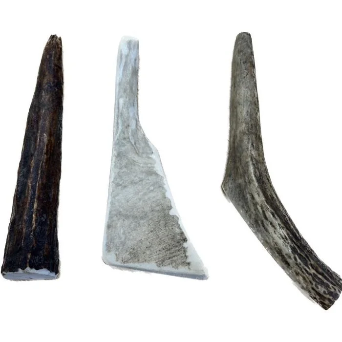 Elk Antler (S)