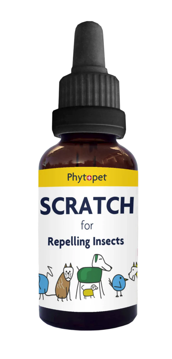 Phytopet Scratch