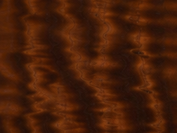 Eucalyptus Fumed Figured